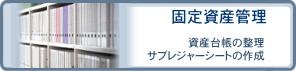 Œ莑YǗ